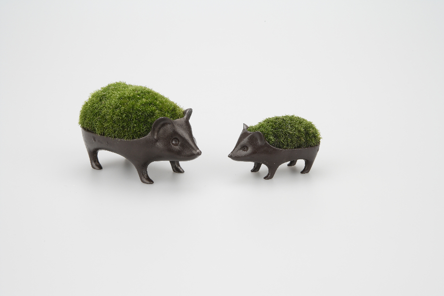 50401_504011_Hedgehog_bronze